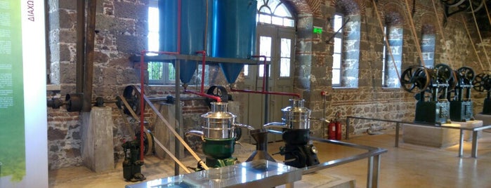 museum of industral olive oil production is one of Midilli.
