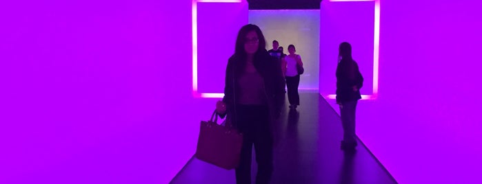 Museum of Fine Arts Houston is one of Posti che sono piaciuti a Camila.