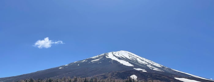 Fuji Subaru Line 5th Station is one of Japan Tour Waypoints.