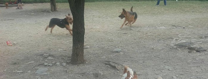 Parque Rufino Tamayo (Zona de Perros) is one of Monterrey.