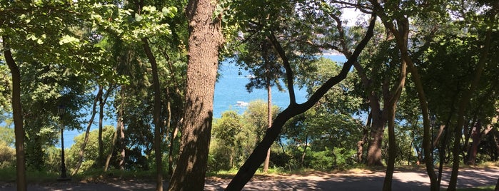 Emirgan Park is one of Doğa’s Liked Places.