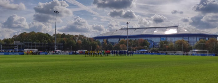 FC Schalke 04 - Trainingsgelände is one of Bolzplätze (besucht).