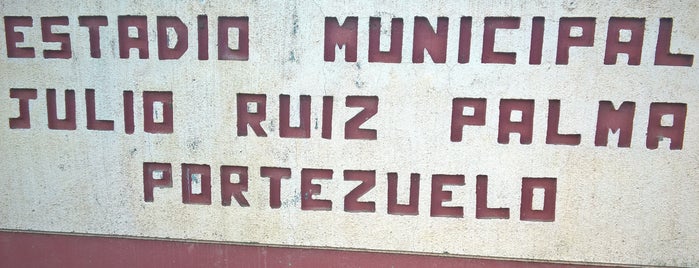 Estadio Municipal Julio Ruiz Palma is one of My.
