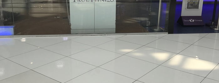 True Fitness is one of Singapore Gyms.