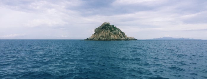 Shark Island (Dive Site) is one of tipps2.