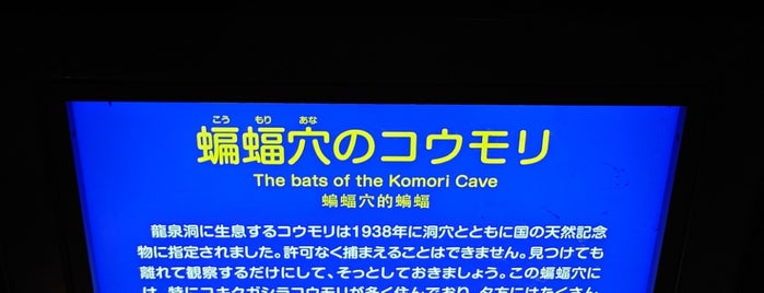 龍泉洞 is one of Japan top200.