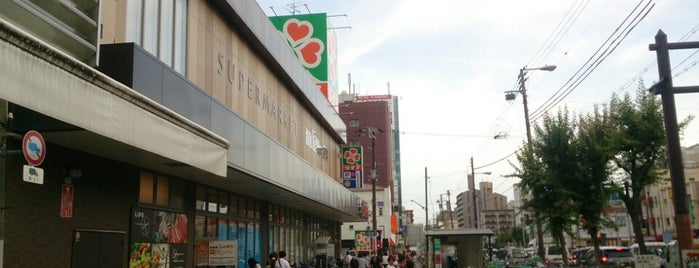 ライフ 昭和町駅前店 is one of ライフコーポレーション.