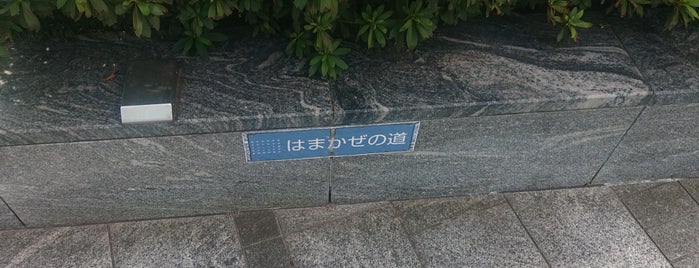 はまかぜの道 is one of Shiodome 汐留.