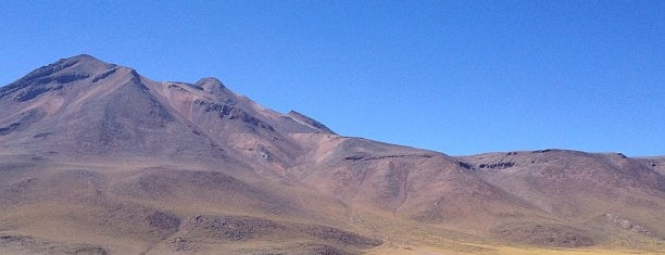 Lagunas Mixcanti y Miñiques is one of Atacama.