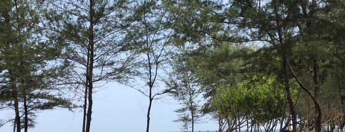 Pantai Paka is one of สถานที่ที่ ꌅꁲꉣꂑꌚꁴꁲ꒒ ถูกใจ.