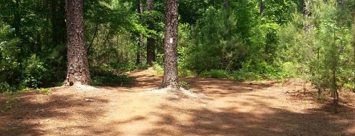 Harbison State Forest is one of Lugares guardados de Melissa.