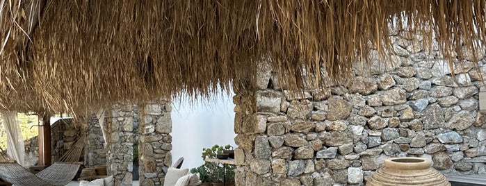 The Wild Hotel By Interni is one of Mykonos.