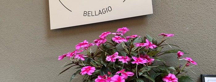 nené is one of bellagio.