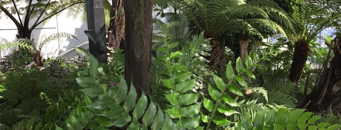 Sky Garden is one of Tempat yang Disukai Wendy.