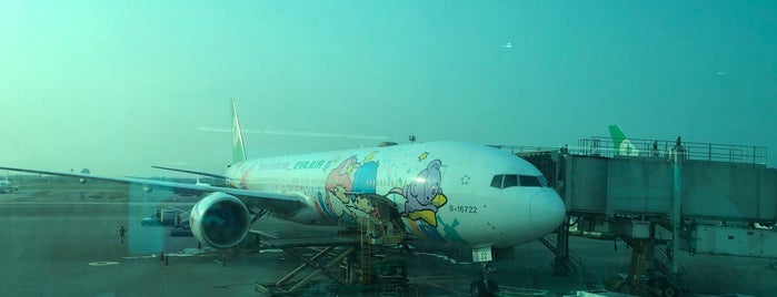 Eva Hello Kitty Plane is one of Thomasさんのお気に入りスポット.