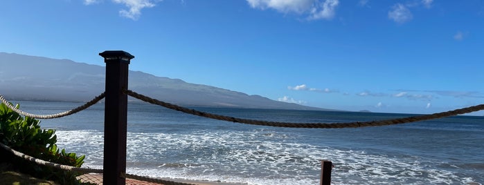 Haycraft Park is one of Maui.