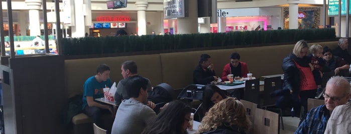 Freehold Raceway Mall - Food Court is one of Common Checkins.