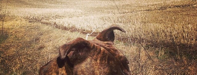 Humane Society of the Palouse is one of Posti che sono piaciuti a Sierra.