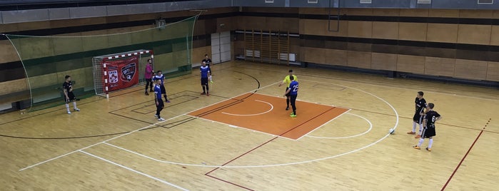 Saulkrastu Sporta Centrs is one of Floorball Venues.