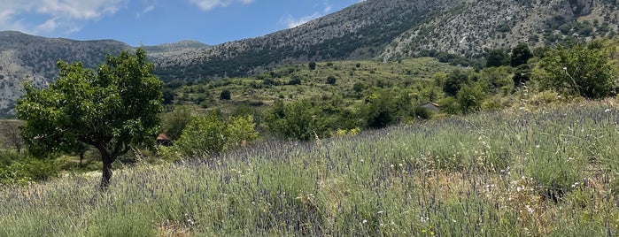 Lasinthos Eco Park is one of Crete.