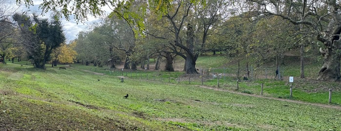 Valle dei cani di Villa Borghese is one of my faves.