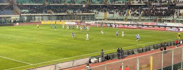 Stadio Cibali "Angelo Massimino" is one of Gli stadi della Serie A 2013/2014.