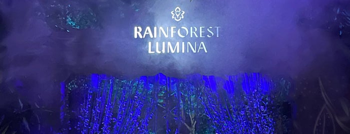 Rainforest Lumina is one of Singapore.