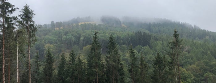 Thüringer Wald is one of Oberhof.