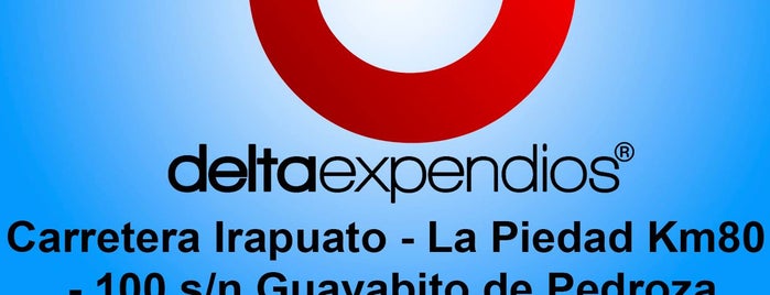 Grupo Delta is one of Afiliados Soy Cliente Consentido 2014.