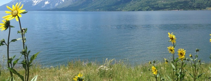 Bridger-Teton National Forest is one of National Recreation Areas.