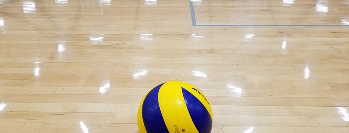 Volleyball