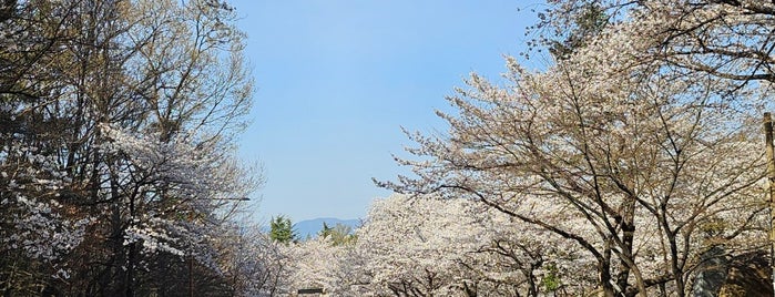 Apsan Park is one of 대구 Daegu.
