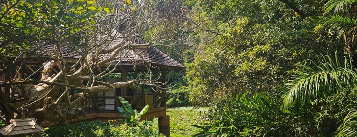 Mae Fah Luang Art & Cultural Park is one of Thailand.