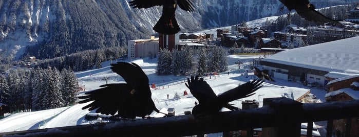 La foret du Praz is one of Courchevel 1850.