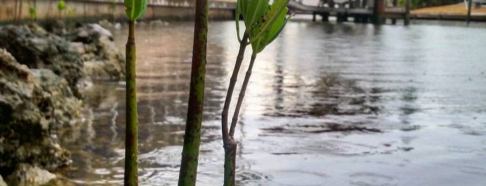 Estero Island is one of Locais curtidos por Kate.