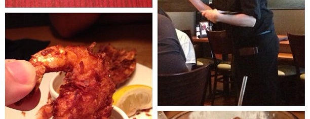 Outback Steakhouse is one of Chad 님이 좋아한 장소.