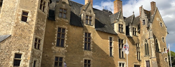 Château de Baugé is one of 15-23.