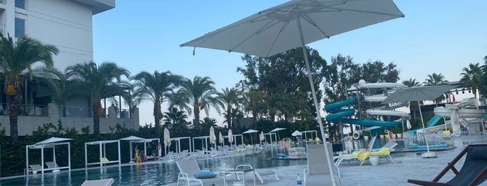 DoubleTree By Hilton Pool is one of สถานที่ที่ FATOŞ ถูกใจ.