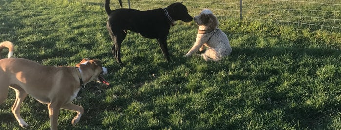 Du Page Forest Preserve Dog Park is one of Lieux qui ont plu à Spencer.