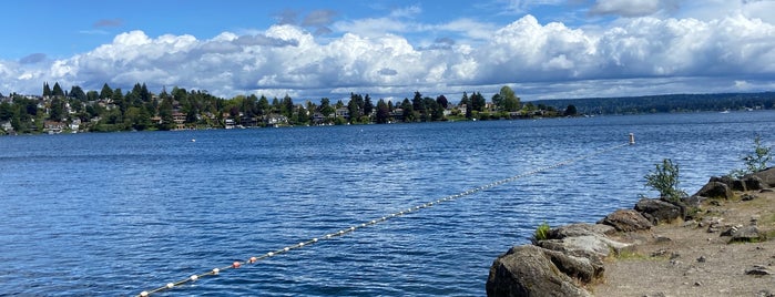 Foster Island is one of Seattle.