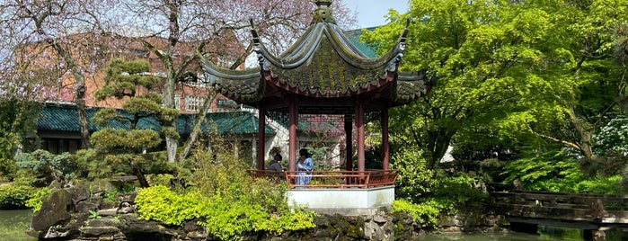 Dr. Sun Yat-Sen Classical Chinese Garden is one of Vancouver Attractions.