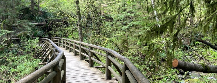 Capilano Pacific Trail is one of amaze vancouver outdoorsy stuff.