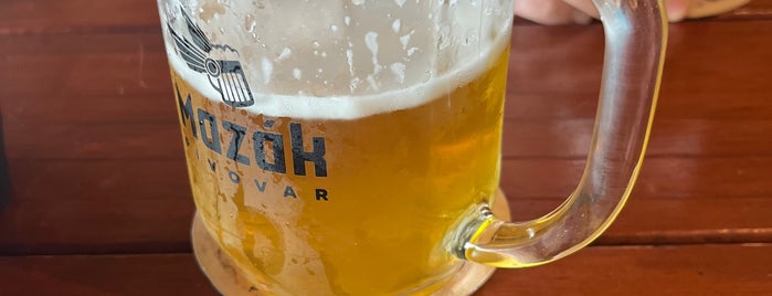 Beer [Brno]