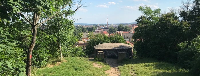 Bunkr is one of Brno.