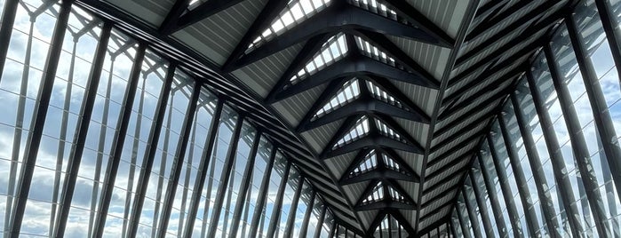 Gare SNCF de Lyon Saint-Exupéry TGV is one of Great Modern Architecture.