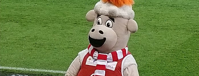 Pittodrie Stadium is one of Football Grounds.