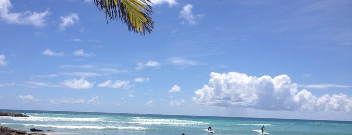 Surfer's Point is one of Best Barbados Picnic Beaches.