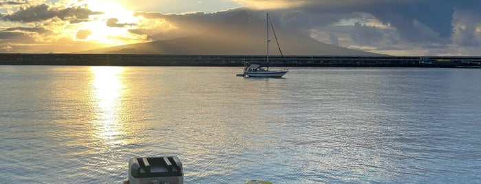 Hotel do Canal | Faial is one of Açores.