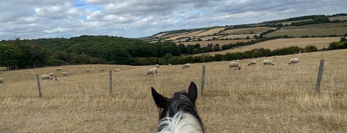 Ashridge Estate is one of Bedford.