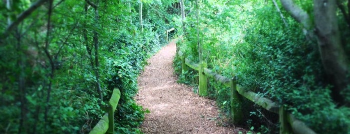 Camley Street Natural Park is one of London Places To Visit.